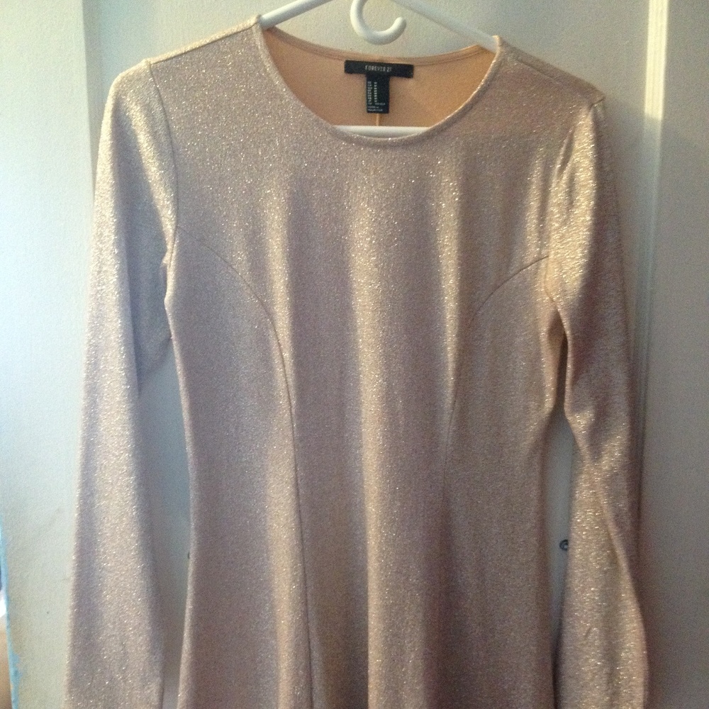 Forever 21 Sparkling Rose Dress
